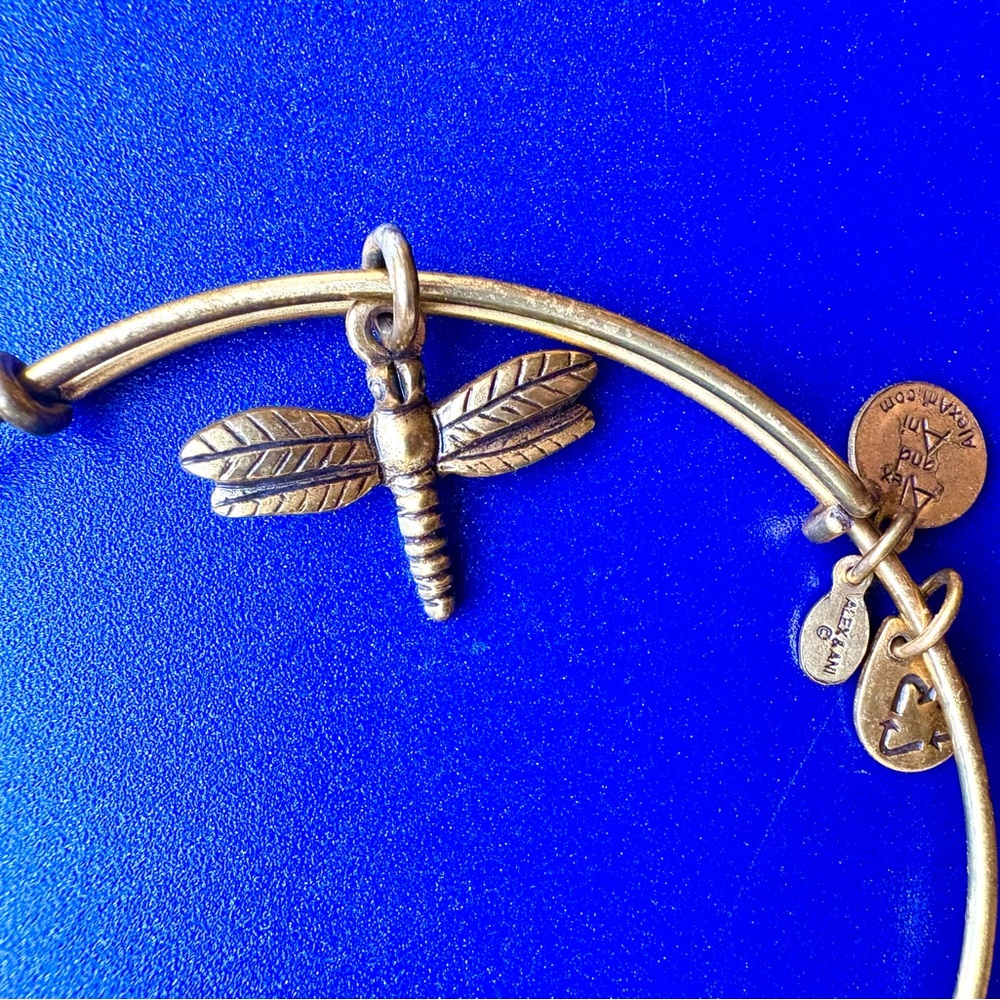 Alex and Ani Dragonfly Charm Bracelet